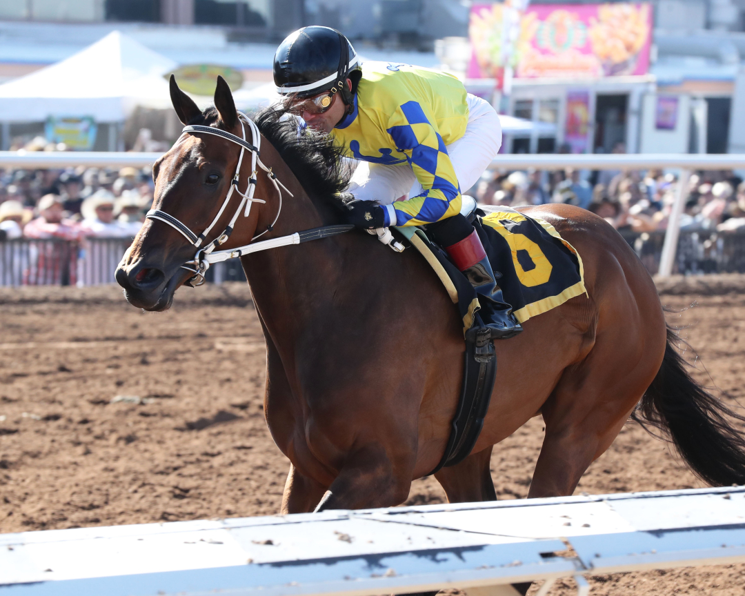 Santa Anita vets scratch Flying Connection from Zenyatta Stakes